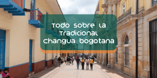 Bogotá changua Changua bogotana