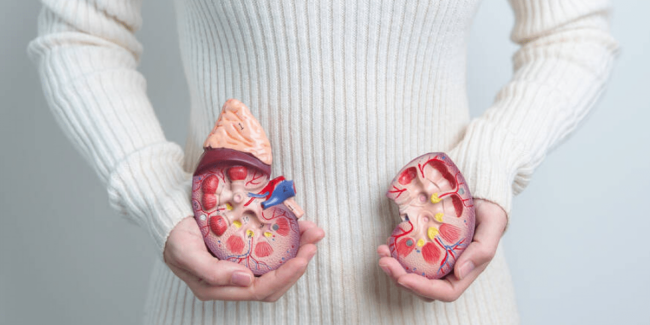 Cochrane dietas bajas en proteína